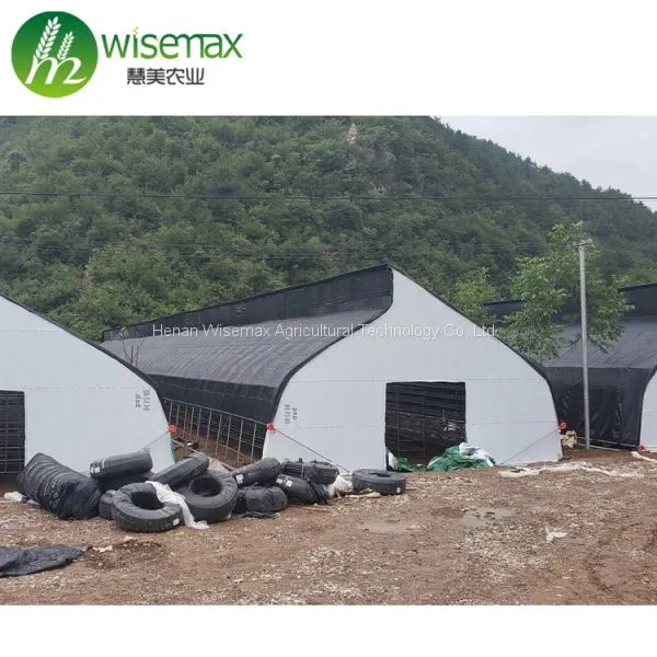 Hot Slae Agricultural Polythene Film Covered Mushroom Green House photo-3