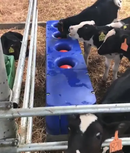 FEELFREE 4m Automatic Livestock Waterer Cattle Sheep Drinking Trough photo-3