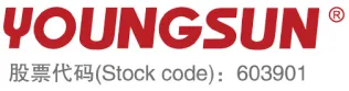 Foshan Youngsun Intelligent Equipment Co., Ltd