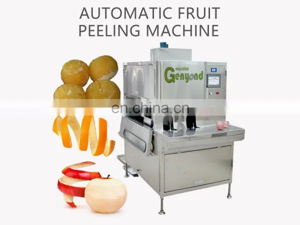 CHINA New Creative Fruit Processing Machinery Fruit Process Line Vegetable Processing Machine photo-2
