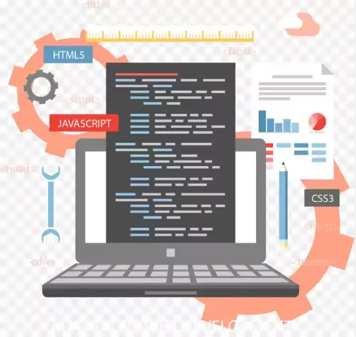 website application software development