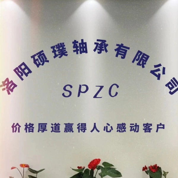 Luoyang Shuopu Bearing Co., Ltd. company overview - view 2