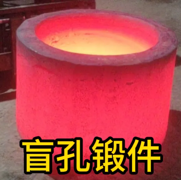 Blind Hole Forgings | Forged Components | Factory Customization