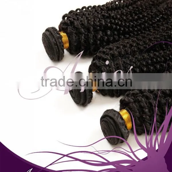 Brazilian Unprocessed Virgin Afro Kinky Curly Human Hair Weaving photo-6