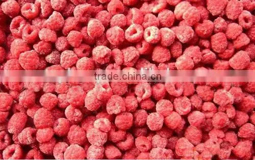 Frozen Dried Red Raspberry Fruit