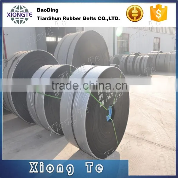 Nylon Conveyor Belt Canvas Fabric Power Transmission Belt photo-5