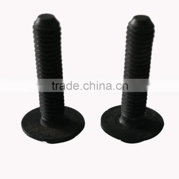 Factory Carbon Steel Screw photo-2
