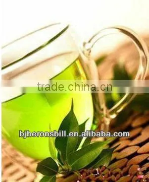 100% Instant Green Tea Powder Tea Extract Powder