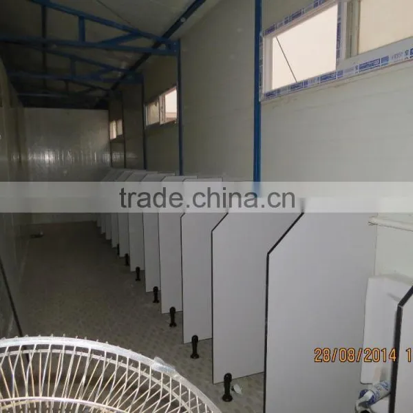 Prefab House for Worker's Dormitory,temporary Building for Worker Living,public Toilet and Shower photo-6
