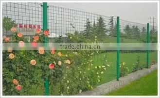 Garden Fence photo-2