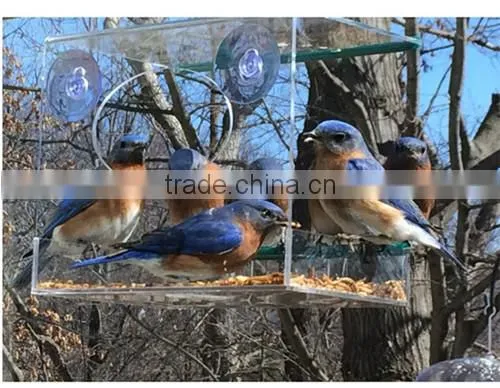 Crystal Clear Window Bird Feeder Acrylic Bird Feeder photo-2