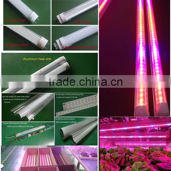 Agriculture Product t8 Led Tube Grow Light Plant Grow Lights 5-15watt Cob Led Grow Lights photo-4