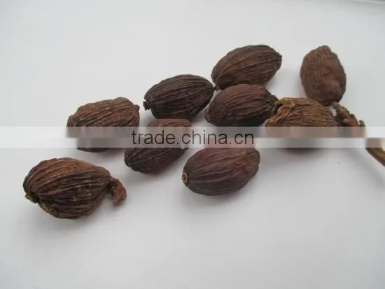 Vietnam Black Cardamom Supplier (Ms. Emma:+84965152844)