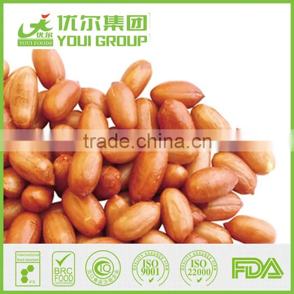 International Selling Raw Peanuts Nut Prices Japanese Style Peanuts Nuts Nuts photo-5
