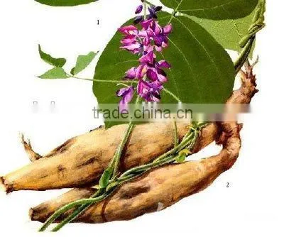 Manufacture High Quality Nutrition Factory Pueraria Lobata Flour,puerarin Flour photo-2