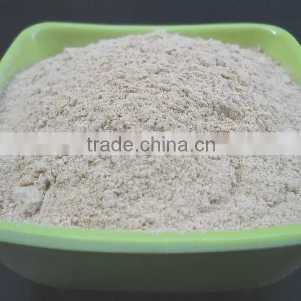 DEHYDRATED GARLIC POWDER photo-2