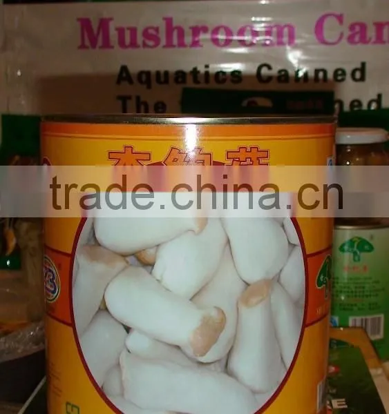 Canned Pleurotus Eryngii photo-5