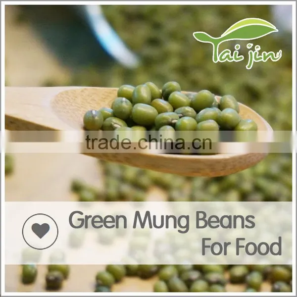 Organic Chinese MungBeans,Mung Bean Prices,Fresh Green Beans Competitive Price photo-5