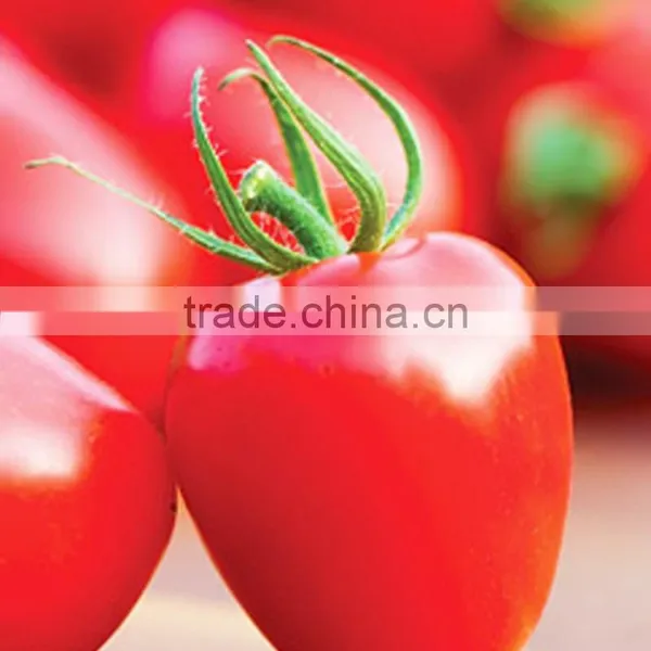 Factory Price Tomato Seeds and Organic Pink Cherry Tomato Seeds