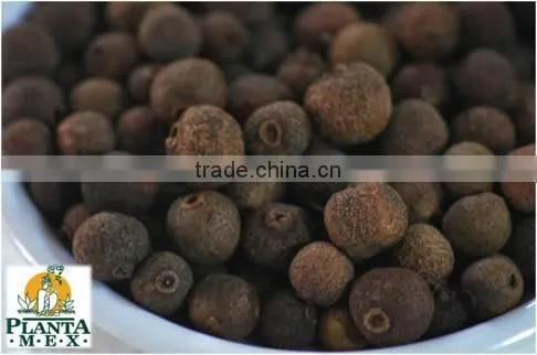 ALLSPICE PIMIENTO