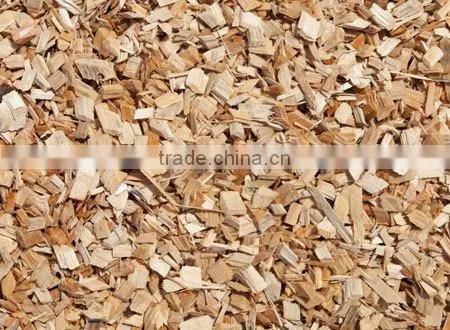 ACACIA, EUCALYPTUS WOOD CHIP FOR PAYPER AND PULP FROM VIET NAM photo-2