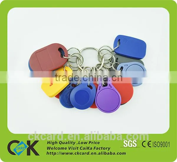 Various Color Plastic Tag NTAG213 Keyfob/keyring photo-2