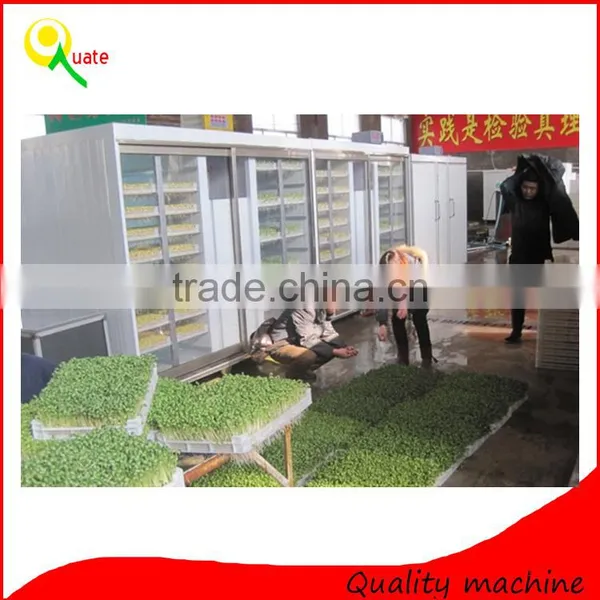 Soybean Mung Bean Sprouts Machine/bean Sprouts Making Machine/automatic Bean Sprouts Machine photo-2