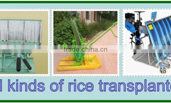Hand Push Rice Transplanter Made in China photo-5