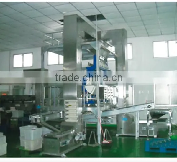 Peanut CCD Color Sorter Line photo-2