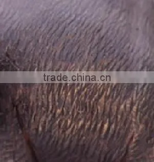 Wood Carved Elephant From Thailand photo-4