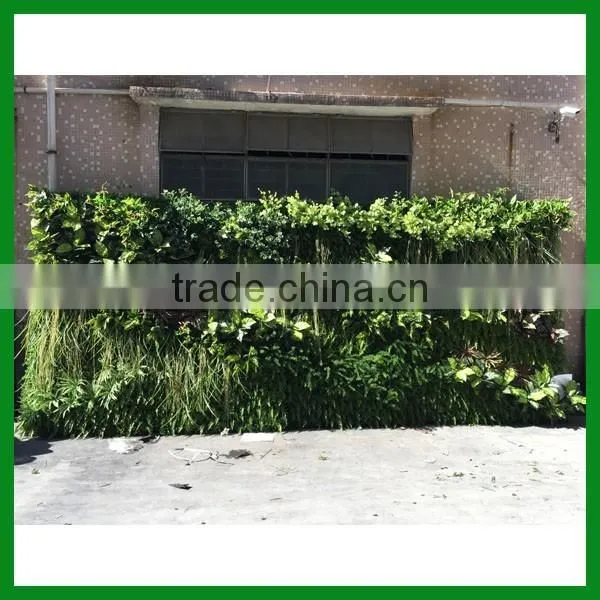 Artificial Vertical Green Wall photo-2