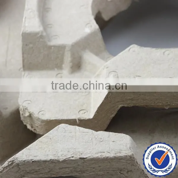 Pulp Moulding photo-3