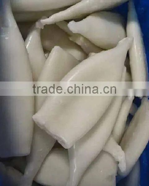 Frozen Squid Tube U5 photo-3