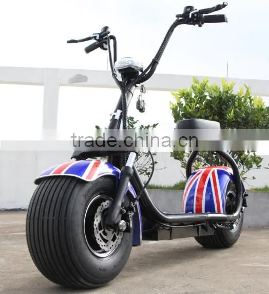 2017 Zhejiang Factory Latest Steel Quality Citycoco Electric Ebike Fat Economic Model photo-3