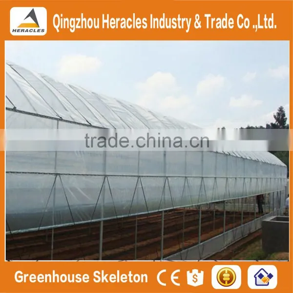 Heracles Trade Assurance Vegetable Seeds Greenhouse photo-5