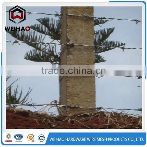 Heavy Duty Sharp Barbed Wire photo-5