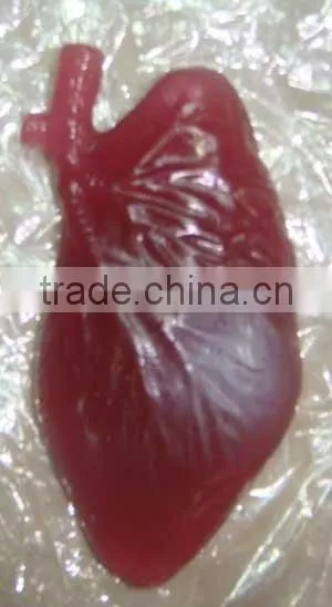 Halloween Gift Decoration Promotion Gift Sticky Body Organ Toys Splatter Toys photo-4