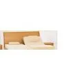 Electric Bed