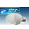 E27 Bulbs