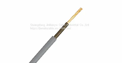 BS 6004