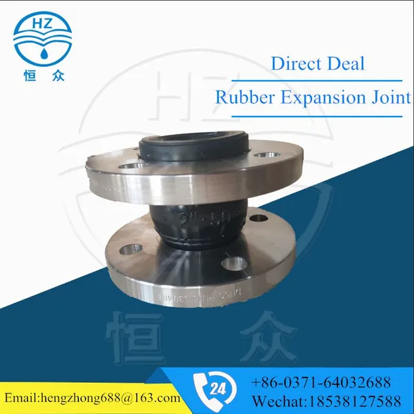 DIN ANSI BS GOST Flanged End Rubber Expansion Joint Pn10 Pn16 With BSPT Thread Union Bridge Joint