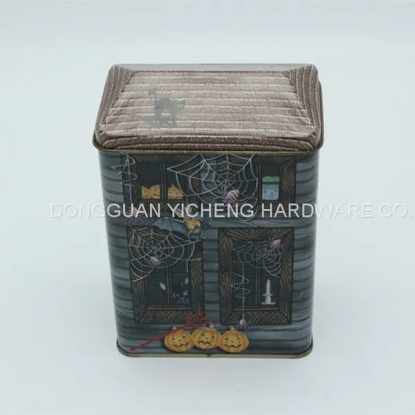 House Tin Box