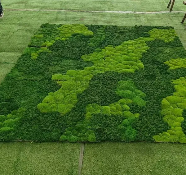 OEM Sizes of Eternal Environmental Friendly Natural Live Luxury Moss Wall or Floor for Office, Home and Public Sites Decoration photo-4