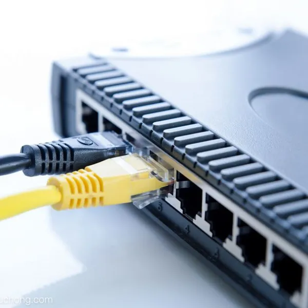 Network & Interface