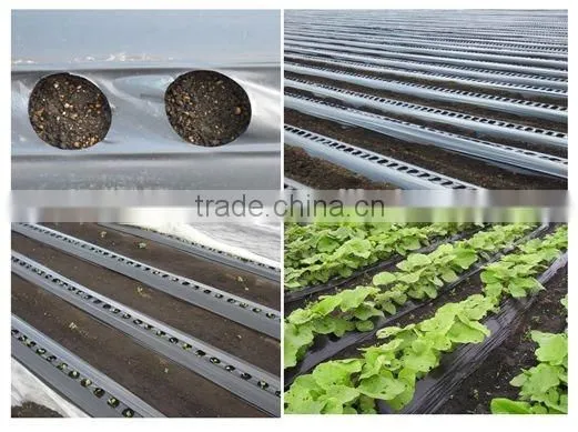 PP Agriculture Non-woven Crop Cover Wholesale photo-3