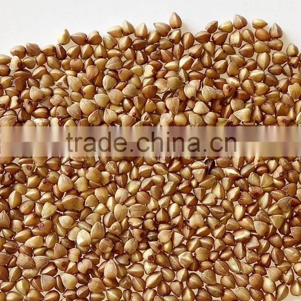 Top Quality Roasted Hulled Buckwheat for Sale