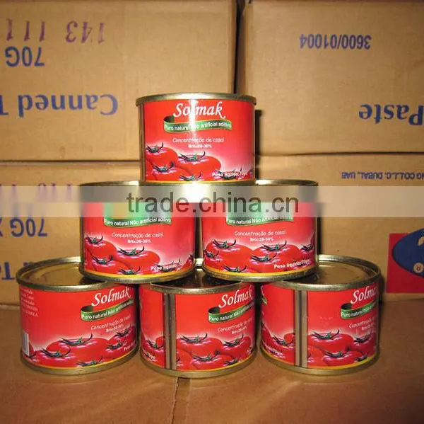 Pure Canned Tomato Paste in Printing 800gram, 210gram, 70gram, 400gram photo-3