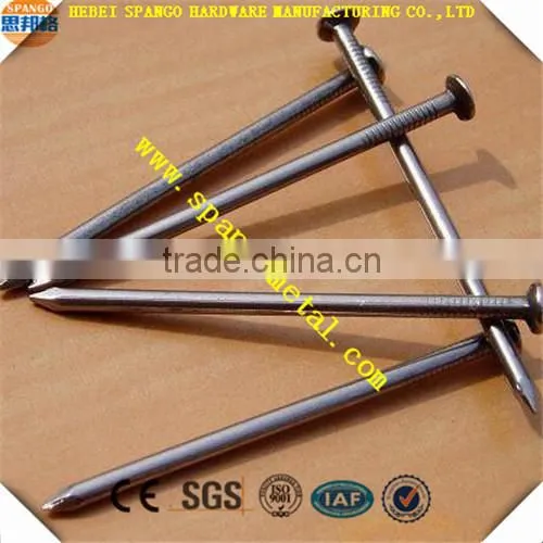Bright Common Nails/polished Common Nails