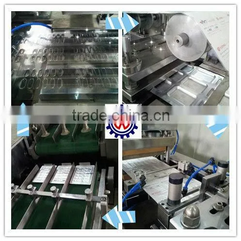 Blister Packing Machine DPP-350A photo-4
