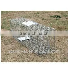 Collapsible Human Animal Cage Trap